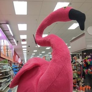 Meet your Posher, Sue